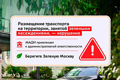 МАДИ напомнила о запрете парковки на зеленых насаждениях