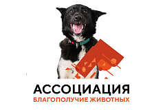 Ассоциация «Благополучие животных» подготовила визуальные информационные памятки для владельцев животных